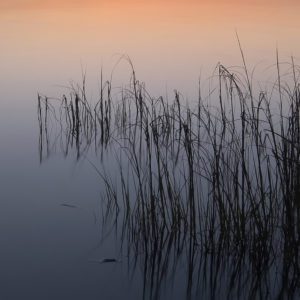 Bill Chambers