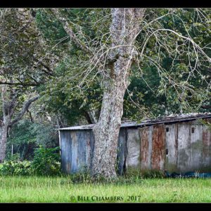 Bill Chambers