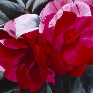 Joan Blackburn