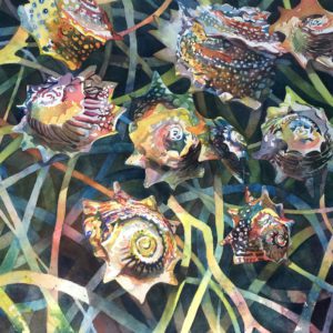 Nancy Davis