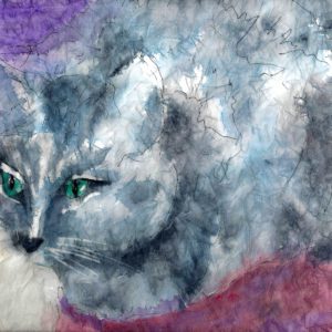 Cathy Pascoe