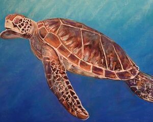 Mary-Breshike-Seaturtle.jpeg
