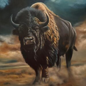 Bison-king-