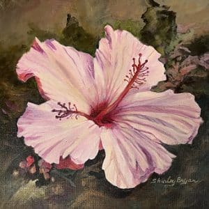 Shirley Bryan-05
