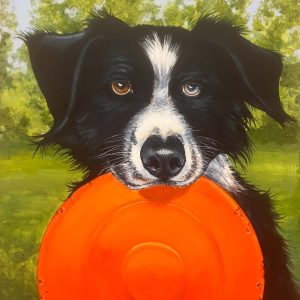 dog with frizbee