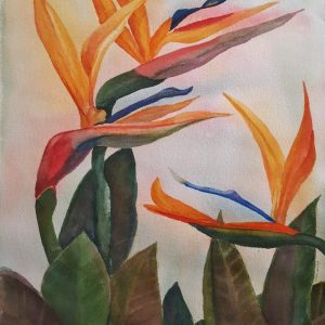 Hemmye-Garden Birds