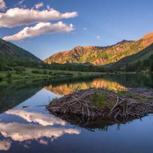 Whitehead-Beaver Home Near Aspen