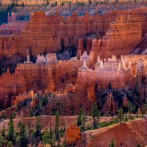 Whitehead-Bryce Canyon NP Dawn