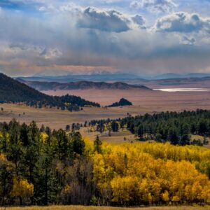 Whitehead-Central Colorado