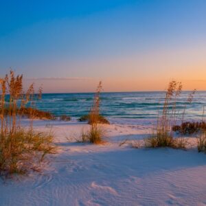Whitehead-Sea Oats Sunset