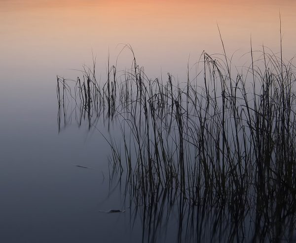 Bill Chambers