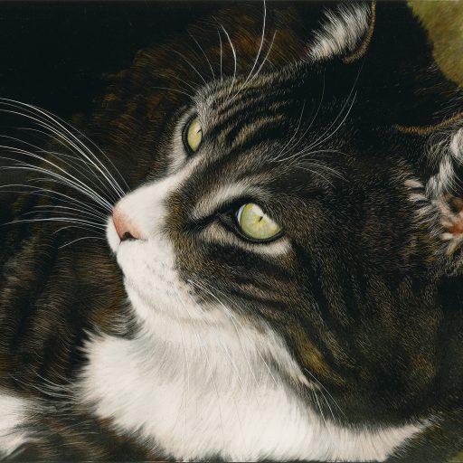 Heather Mitchell