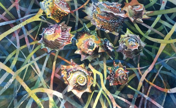 Nancy Davis